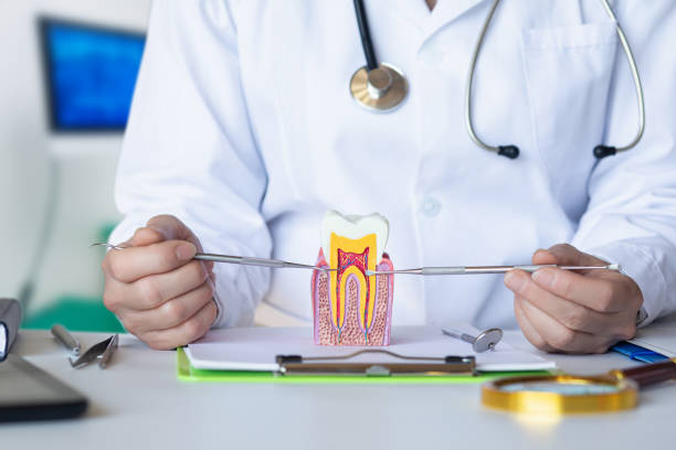 Best Emergency TMJ Treatment in Raynham Center, MA